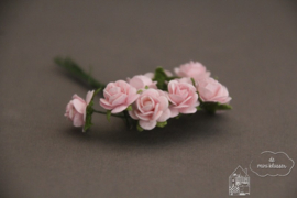 Zacht roze roosjes
