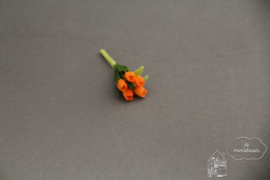 Bosje tulpen oranje