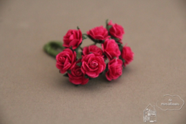 Fuchsia roosjes