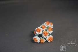 Oranje witte roosjes