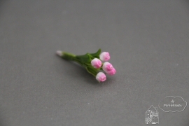 Bosje tulpen wit met roze randje