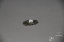 Schedeltje papegaai