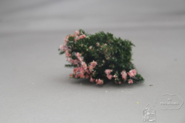 Grote struik roze
