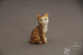 Zittende poes