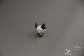 Wit/zwarte kip