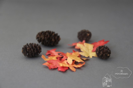 Zakje herfstbladeren en dennenappels 