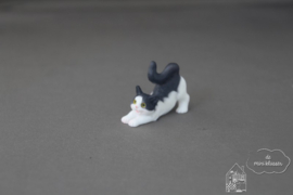 Poes