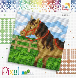 Pixelset Paard