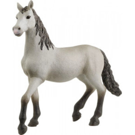 Schleich Andalusier veulen