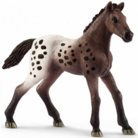 Schleich Appaloosa Veulen