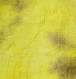 Banaan geel/bruin 20 x 15 cm.