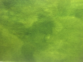 Groen 20 x 30