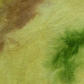 Annanas (zie patroonblad fruit 2 van septemberspring) 20 x 15 cm.