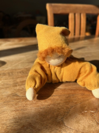 Kleine kabouter