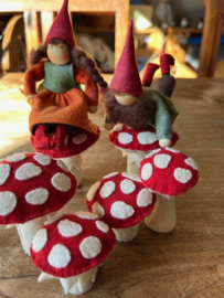 Twee kabouters met paddenstoelen