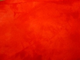 Rood Sprookjesvilt  20 x 15 cm.