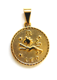 Zodiac Big Coin Charm