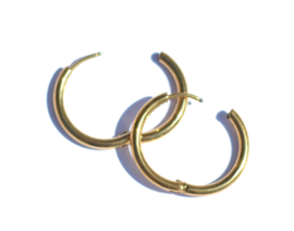 Basic Hoop Earrings