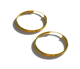 Sterling Golden Mini  Hoop Earrings