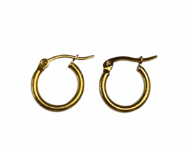 Golden Hoop Earrings