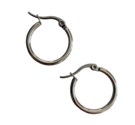 Silver Hoop Earrings