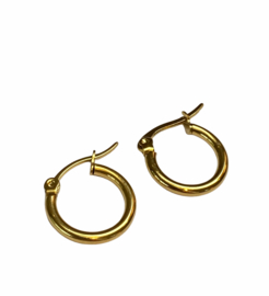 Golden Hoop Earrings