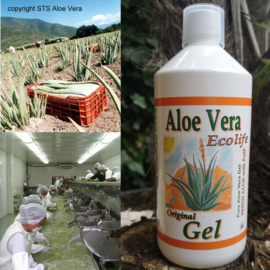 12 flessen Aloe vera Gel - puur - met pulp & vezels