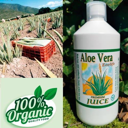 1 bouteille de jus d'Aloe vera Premium - aloe vera biologique