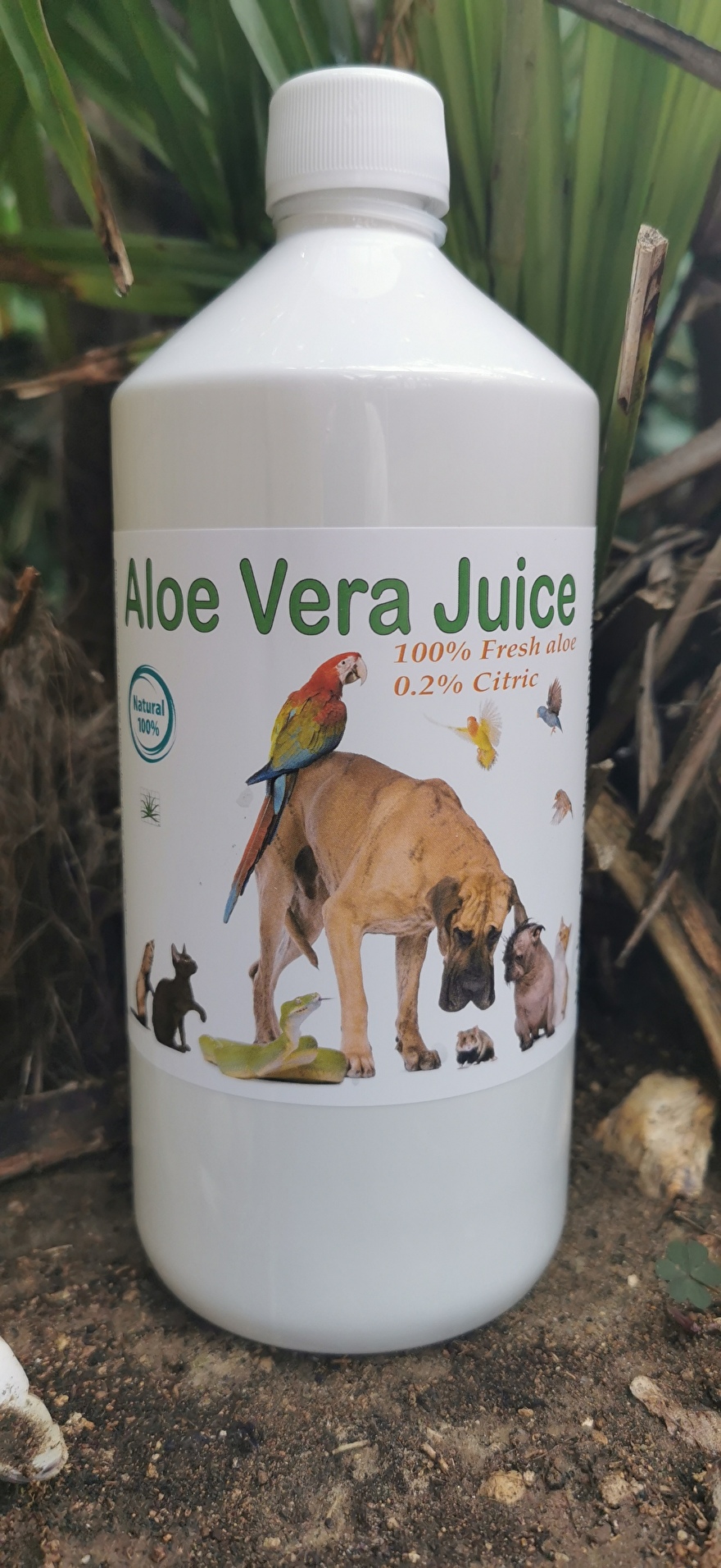 hond en kat , partkiet, papegaai. aloë vera juice