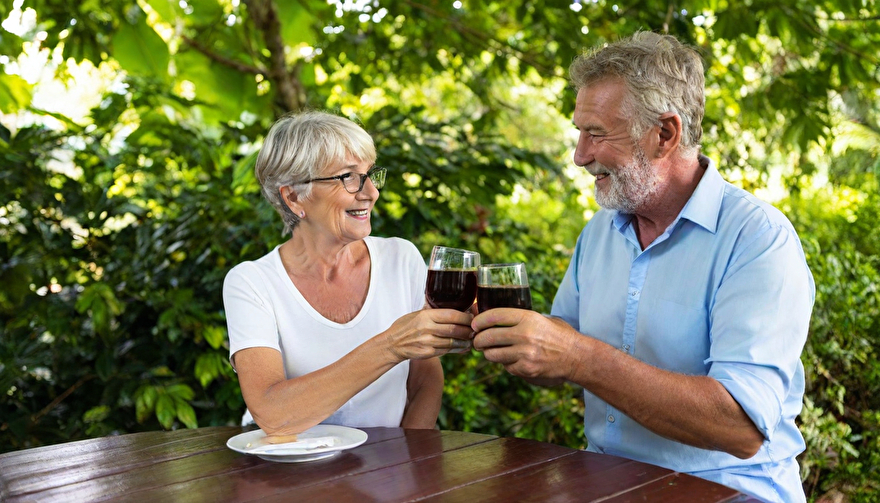 noni gezond drank energie juice sap