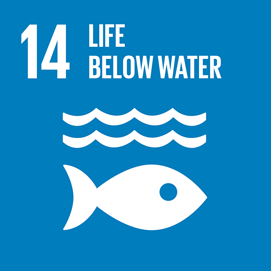 geen microplastics in Ecolife