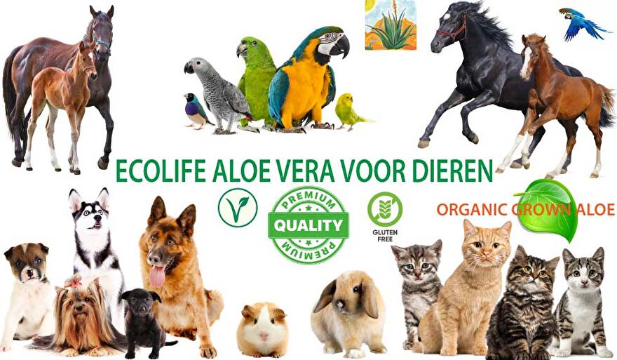 dieren aloe vera paard hond kat konijn papegaai parkiet