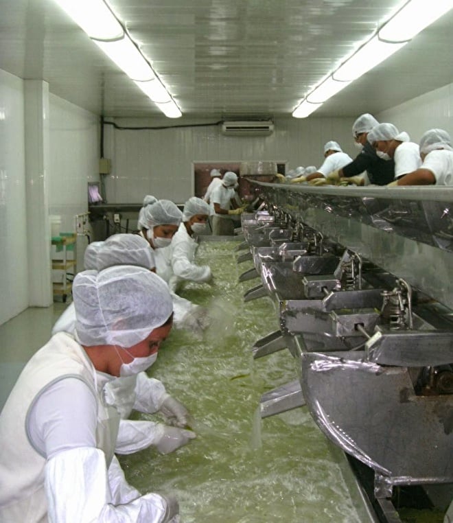 aloe vera gel - wassen met de hand