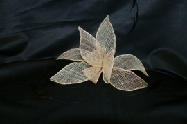 Bloem HD-01