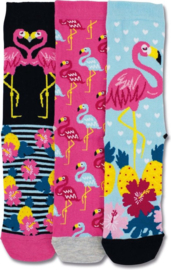 Oddsocks - Mismatched Gekke Sokken - Flamingo Martha - 3 sokken - maat 30,5 tot 38,5