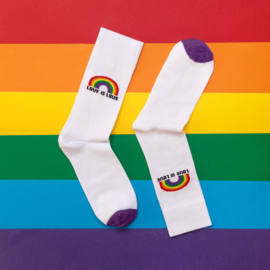 Regenboog sokken - love is love - LHBTI  pride sokken - maat 42 tot 46