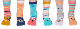 Mismatched kinder sokken - United Oddsocks cadeaudoos met 6 verschillende Poezen sokken - Catkins - maat 27 - 30