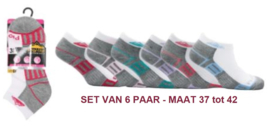 Sneaker sokken Pro Hike - set van 6 paar - wit/grijs met gekleurde details - maat 37 / 42