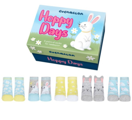 Cadeaudoosje met 5 paar konijntjes babysokjes - Hoppy Days