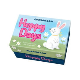 Cadeaudoosje met 5 paar konijntjes babysokjes - Hoppy Days