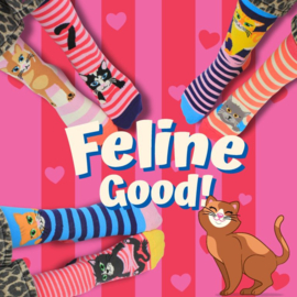 Cadeaudoos met 3 paar mix and match sokken - Feline Good - 38/42