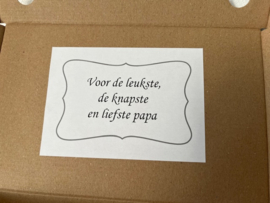Cadeau set van 2 paar Bamboe heren sokken - Racefiets -  maat 41 t/m 45