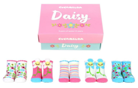 Cadeaudoosje met 5 paar kindersokjes - 1/2 jaar - Daisy