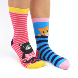 Cadeaudoos met 3 paar mix and match sokken - Feline Good - 38/42