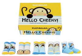 Cadeaudoosje met 5 paar kindersokjes - 1 tot 2 jaar - Hello Cheeky