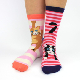 Cadeaudoos met 3 paar mix and match sokken - Feline Good - 38/42