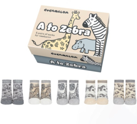 Baby sokken A to Zebra - newborn tot 1 jaar - 5 Paar Sokjes in een Cadeau doos