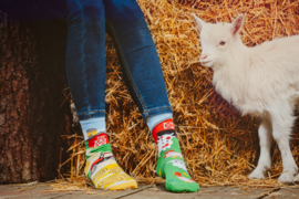 Mismatched sokken - Farm - Boerderij - mismatch sokken- 2 verschillende - maat 40/43