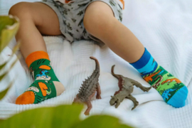 Mismatched kindersokken - Dinosaurs  - maat 27/30