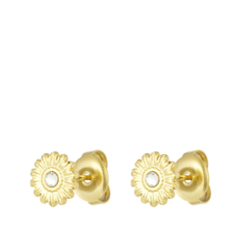 Oorbellen Knopjes